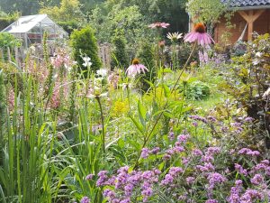 Cottage garden in the city