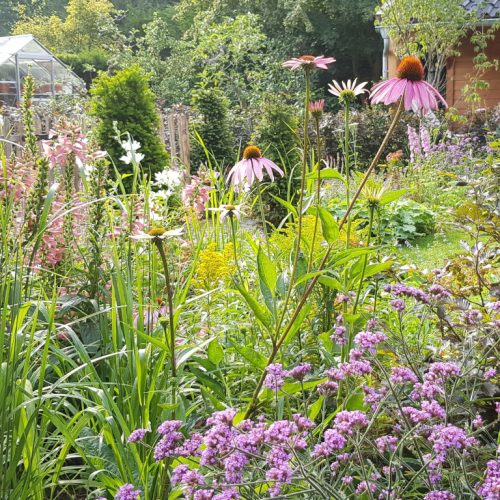 Cottage garden in the city