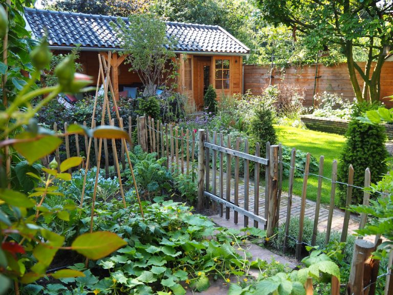 Cottage garden in the city
