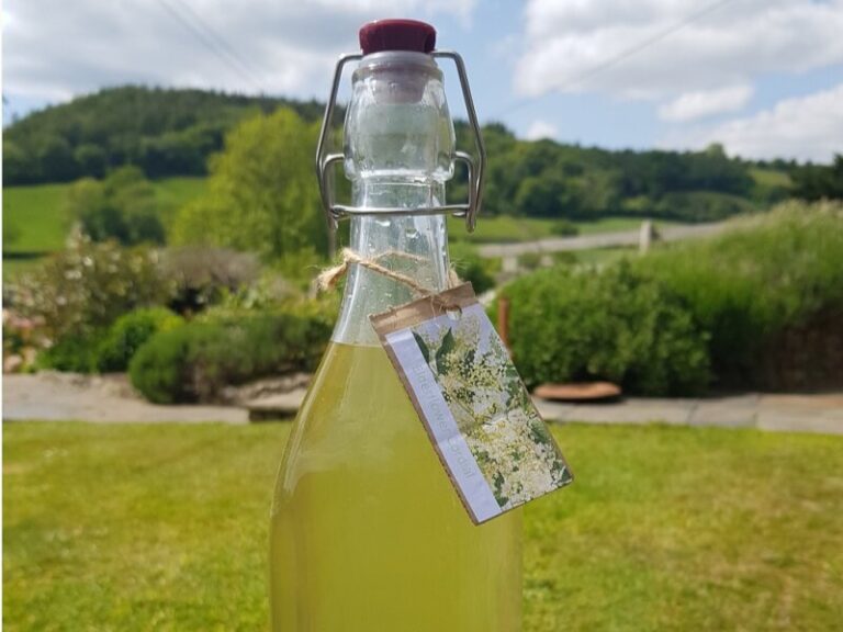 Elderflower Lemonade