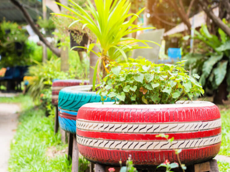 13 Easy Recycling Tips That Will Make Your Garden Look Incredible
