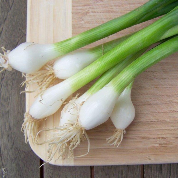 Organic Onion Parade Seeds