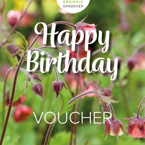 Gift Voucher Happy Birthday
