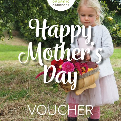 Gift Voucher Happy Mother's Day