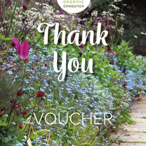 Gift Voucher Thank You
