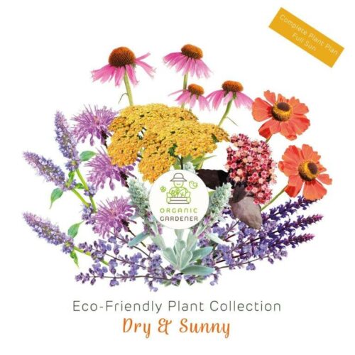 Eco-Friendly Bare Root Plant Collection - Dry & Sunny