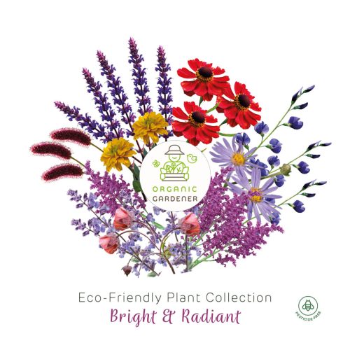 Eco-Friendly Bare Roots Perennial Collection - Bright & Radiant