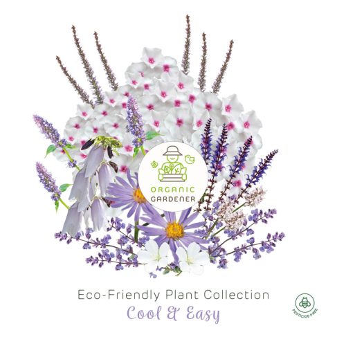 Eco-Friendly Bare Roots Perennial Collection - Cool & Easy