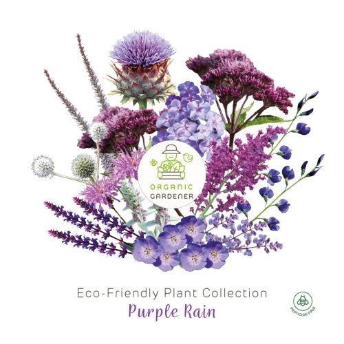 Eco-Friendly Bare Roots Perennial Collection - Purple Rain