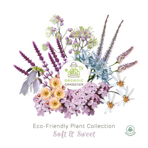 Eco-Friendly Bare Roots Perennial Collection - Soft & Sweet