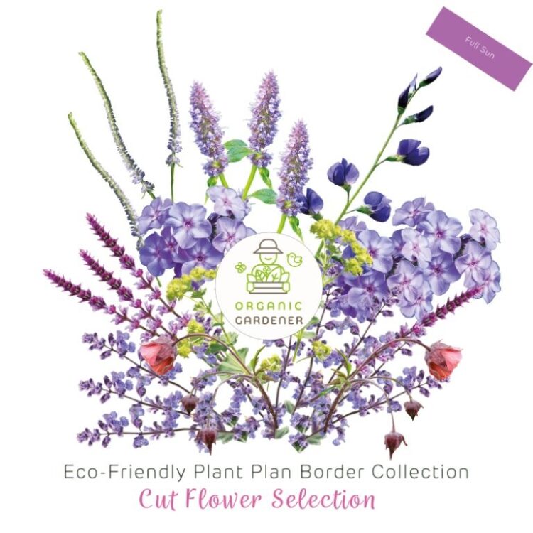 Eco-Friendly Cut Flower Border