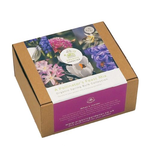 A Pollinator's feast - Organic Bulbs - Gift Box