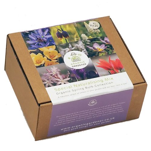 Organic Naturalising Flower Bulb Mix - Gift Box