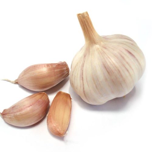 Organic Garlic Morado