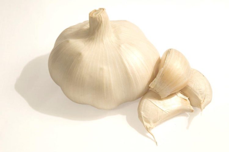 Organic Garlic Vallelado
