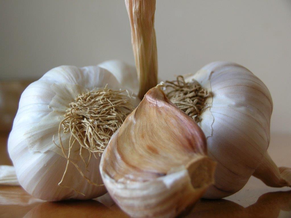 Organic Garlic Category