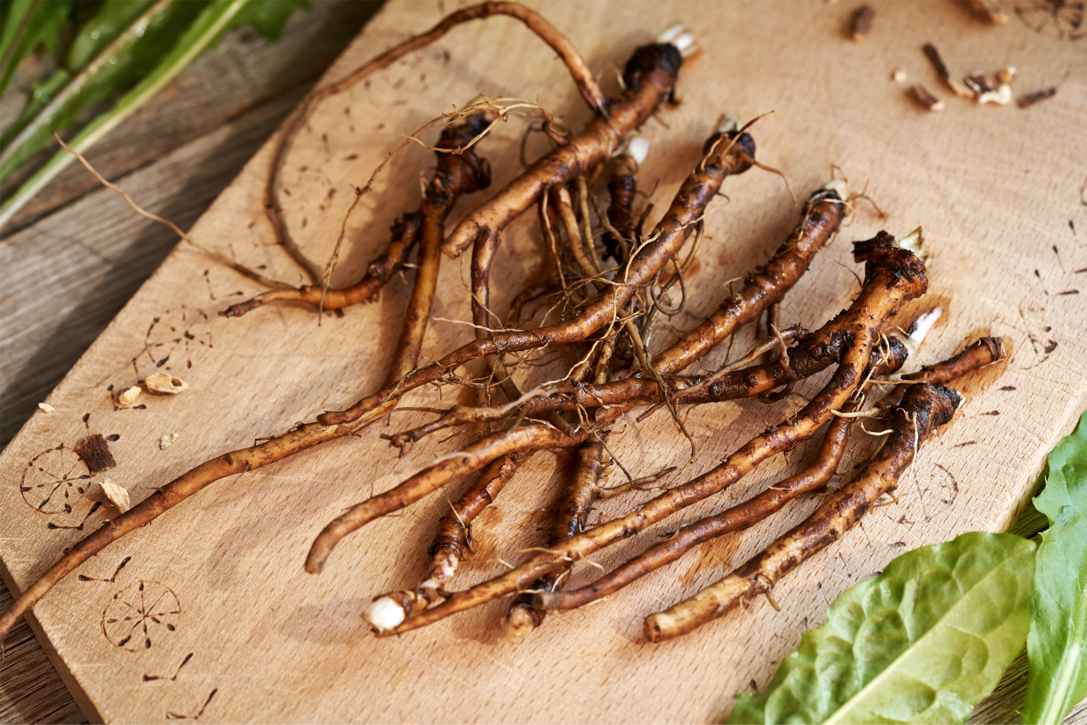 Bare root plants