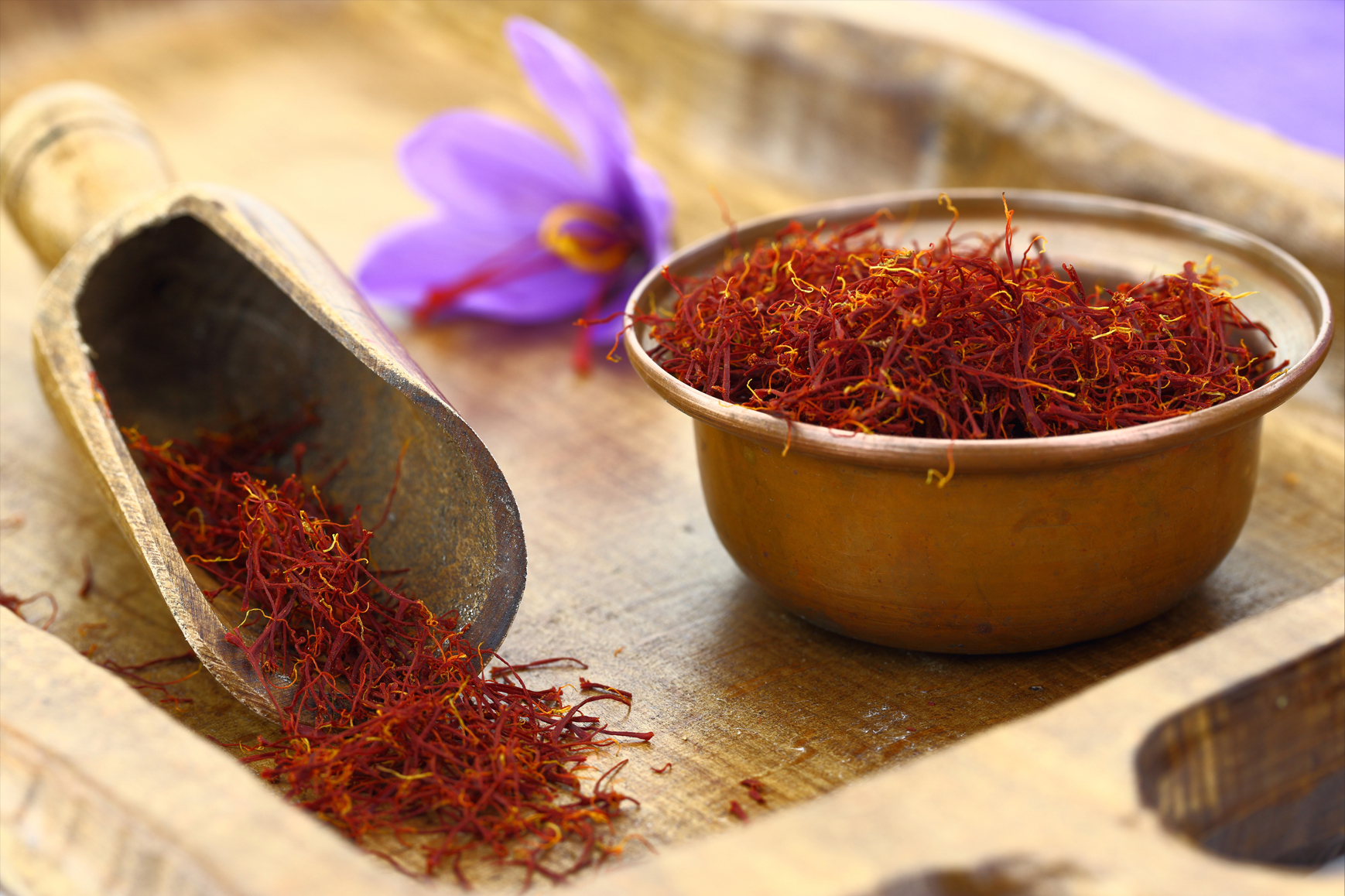 Organic ‘Sativus’ – Saffron Crocus Bulbs - Image 2